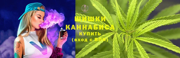 твердый Абаза