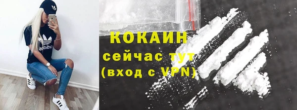 твердый Абаза