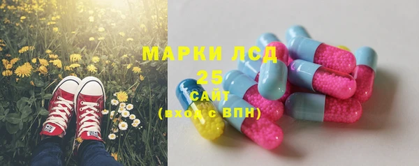шишки Остров