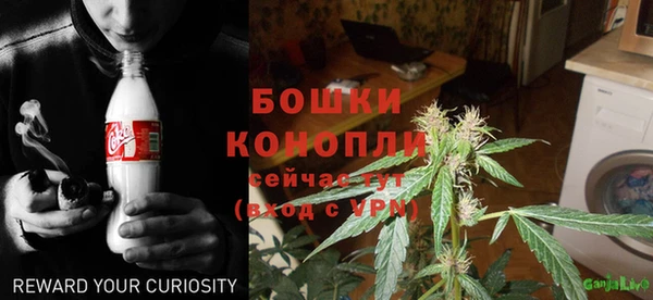 ГАЛЛЮЦИНОГЕННЫЕ ГРИБЫ Осташков