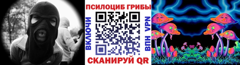 дарнет шоп  ссылка на мегу ТОР  Псилоцибиновые грибы Psilocybine cubensis  Прохладный 